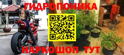 apvp Севастополь
