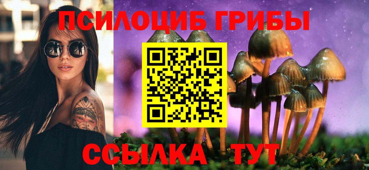 Галлюциногенные грибы Psilocybe Орёл
