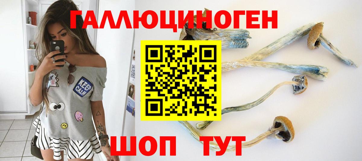 Орёл  Псилоцибиновые грибы прущие грибы  Вход с VPN  Псилоцибиновые грибы ЛСД 